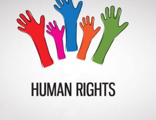 تخصص حقوق الإنسان Human Rights